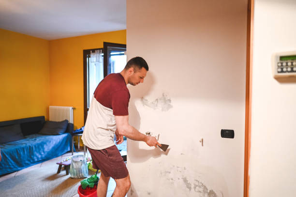 Best Post-Flood Mold Remediation in Hastings, MN